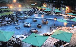 一卡在手玩透透！7/15起國家森林遊樂區悠遊卡、一卡通攏ㄟ通