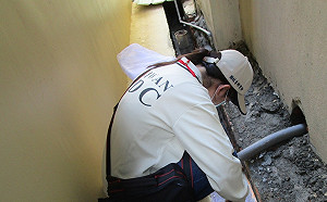 疫情爆不停！高雄再增1例本土登革熱