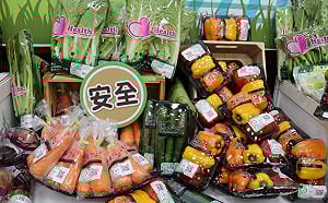 供應充裕＋警報解除！今日菜價下跌16.3％