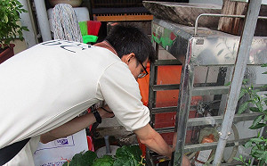 「興德里」居民注意！高雄再增一例本土登革熱