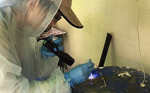 本土登革熱台南再增2例！巴克禮公園為高風險地區