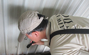 本土登革熱病例高雄再增一例！三民區達37例全台最多