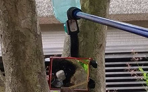 境外移入達26例！台南市登革熱再增一例