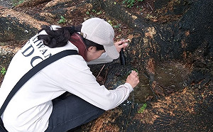 又是家庭群聚感染！台南東區再增1例本土登革熱