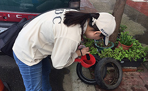 沒去台南、高雄也遭感染！桃園中壢爆首宗本土登革熱