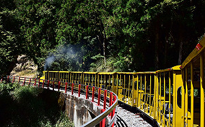外籍遊客專享！半年前即可預約太平山莊平日住宿