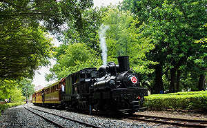 颱風來襲！阿里山林鐵今停駛 阿里山遊樂區休園