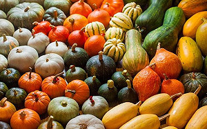 一年四季都吃的到！台灣五種常見南瓜種類一次看