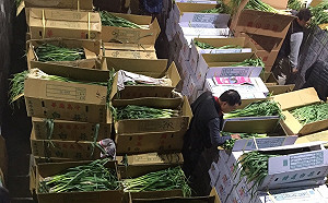 預期漲價心理減緩！ 菜價小跌3元