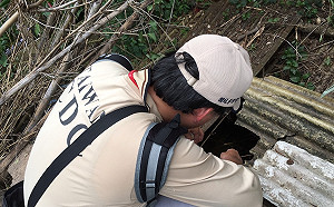 新北中和添一例本土屈公病！緬甸旅遊疫情建議列二級警示