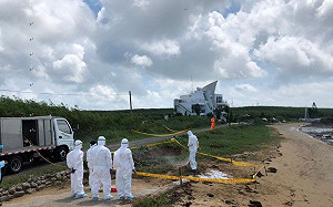 白鹿颱風過境！澎湖城前海邊驚見海漂死豬