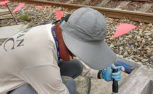 台南再增一例本土登革熱！個案平時活動這兩區加強防治