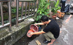 新北屈公病達6例！環保署籲：主動清除積水容器