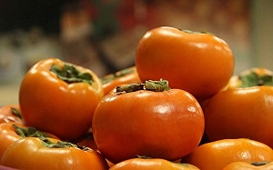 秋柿飄香！甜柿、澀柿大不同 柿子品種一次看