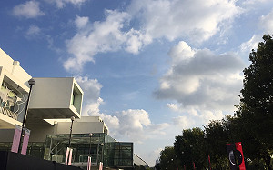 中颱黃蜂週日最接近台灣 東南部恐有大雨勢