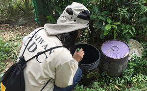 新北再增兩例屈公病！其中一例發病時曾到台南