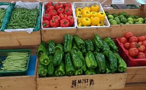 改變飲食習慣也能救地球！低碳飲食基本五原則報你知