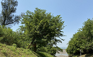 壞天氣來攪局！週末變天東北部留意大雨