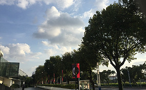 今晨11縣市低溫特報 白天起回溫把握機會出遊