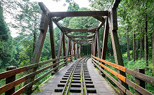 國慶連假來走走！13處國家森林遊樂區半票優惠