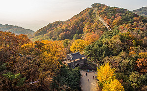 不追韓流改追楓！韓國2019楓紅預測＆賞楓必遊6大勝地