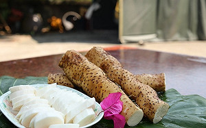 秋季進補少不了它！台灣常見5種山藥品種