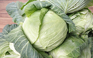 杜絕陸貨「洗產地」！11類農產品進口須附原產地證明