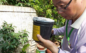 東南亞疫情未減緩！台南境外移入登革熱再增一例