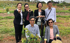 台灣荔枝前進南半球澳洲！「反季節生產」冬天也吃得到