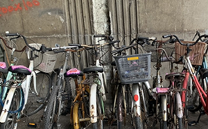 不騎也別亂丟！北市11月起廢棄單車拖吊後領回將收費