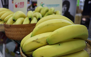 吃太多香蕉鉀過量會致命？農委會：成人一天吃6根沒問題