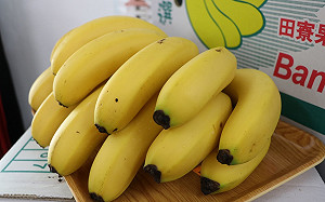 外銷生力軍！帶你認識台灣常見5香蕉品種