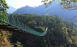 奧萬大吊橋意外！森林遊樂區9座吊橋林務局優先檢測