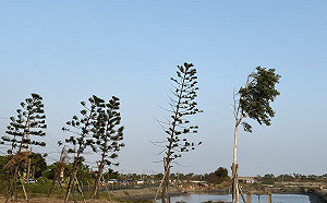 立冬補冬！北台低溫下探19°C  中南部日夜溫差大