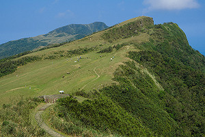 秋高氣爽健行賞芒花花海！一圖了解桃源谷4路線