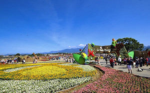 快來踩點！台中花毯節今登場  民眾搶拍小王子玫瑰星球