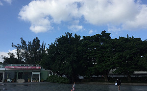 多雲到晴好天氣！北部高溫上看28°C  留意日夜溫差大