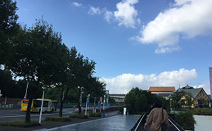 早晚溫差10°C以上！晚起東北部變天轉濕涼