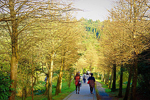 氣溫溜滑梯！季風增強 北部 東北部驟降8°C