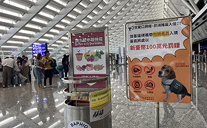 印尼也淪陷非洲豬瘟!14時起攜帶豬肉製品入境重罰20萬