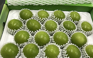 全球唯一！歷經10年突破檢疫障礙 台灣棗可輸銷至韓國