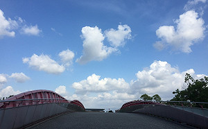 白天回溫入夜轉有雨 跨年夜低溫下探14度