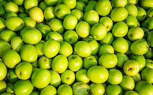 冬天吃棗正當時！市面常見4品種棗子你最愛哪一味