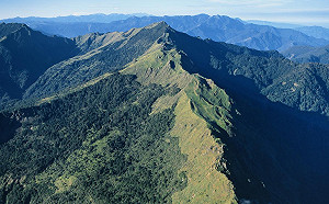 提供動物棲地又助水土保持！台灣森林服務價值超過7000億