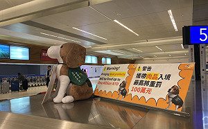 別再造謠！立院三讀散播動物傳染病謠言最重罰百萬