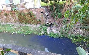 後勁溪慘遭污染一片藍！環保局：印刷廠廢水未處理最高可罰300萬元