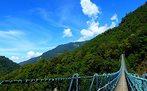 奧萬大吊橋封閉至明年！園區維護10月底前門票半價優惠