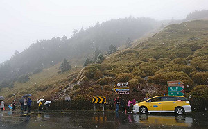 合歡山飄冰霰！追雪族狂讚「太美了」