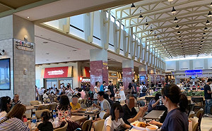 新制上路!明年元旦起中市百貨、購物中心內用禁用免洗餐具