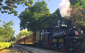 鐵道迷別錯過！阿里山林鐵推「未來車票」 全線通車可優先搭乘